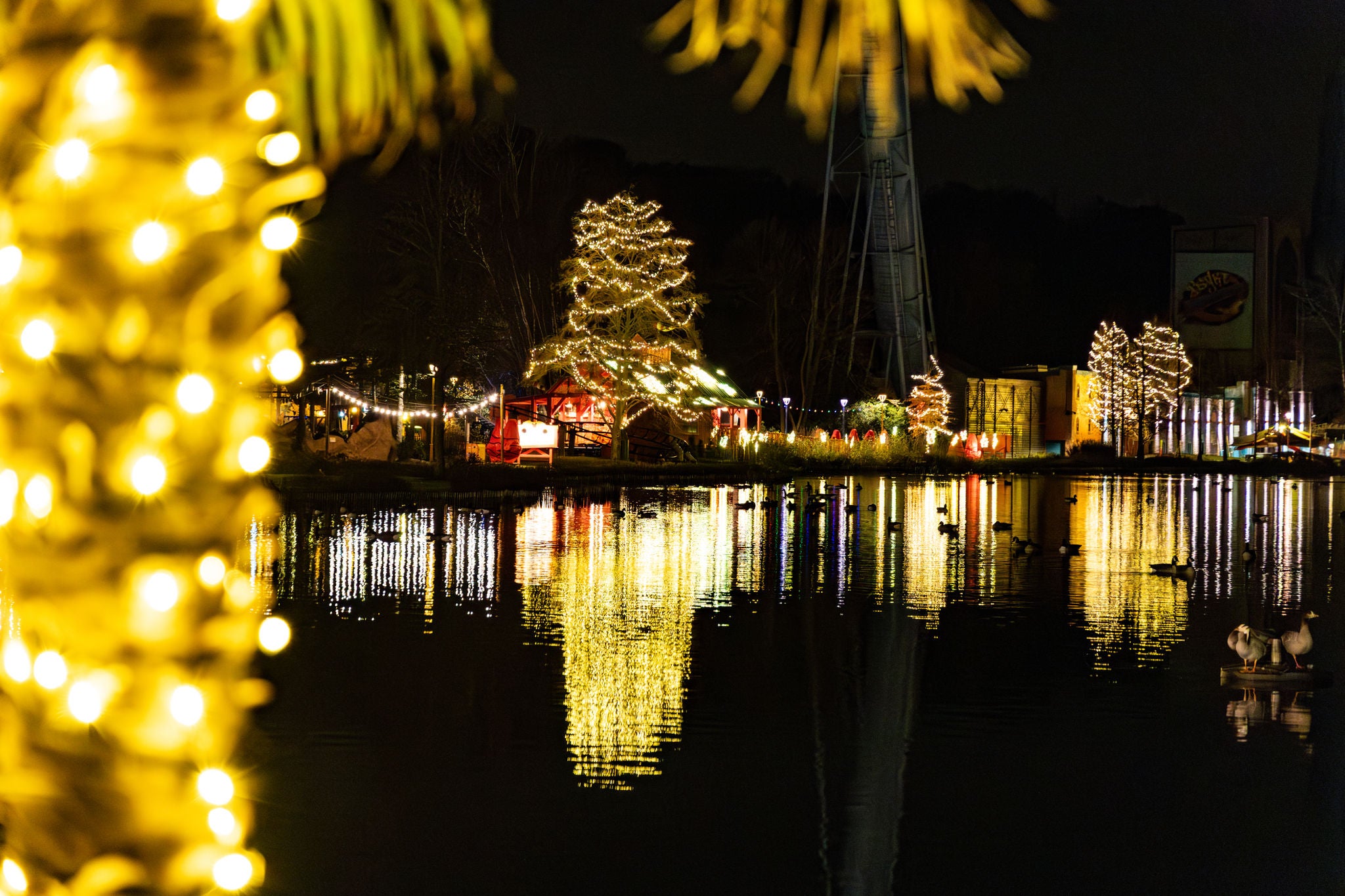 walibi winter